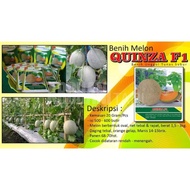 Melon Hibrida Quinza f1 20gr Original Rock Melon Melon Orange