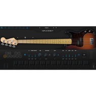 Ample Guitar Ample Bass P III 3