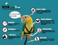 AVIATOR飛行家 鸚鵡專用外出繩 *一體成型*給鳥寶最全面的舒適 彈性繩避免受傷 遛鳥EASY