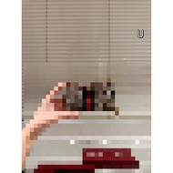 【蝦皮特選】 Fashion 直銷 the G- New Type of Coin Purse Women's Pendant Bag is Versatile (with Box) MGLY 456