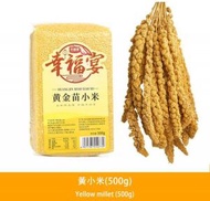 Others - 黃小米(500g)