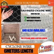 Cyclone Wires Mesh Galvanized Chain Link Fence 10METERS/2X2 INCH OPENING SIZE (Farm Fence/ Guard fen