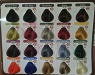 NEW Katalog Diosys Hair Colour - Contoh Rambut Lengkap 20 Warna