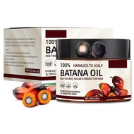 Minyak Botana untuk Pertumbuhan Rambut, Organik Tulen dari Honduras Dengan Keratin, Ekstrak Kopi & B
