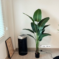 [พร้อมส่ง] Jnihouse : ต้นปักษาสวรรค์ (Bird of Paradise) ต้นไม้ปลอม ต้นไม้ประดับ