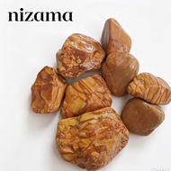 1kg genuine wood coral stone from natural/ garden coral stone / garden stone garden decoration stone