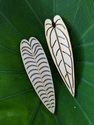 熱植木質冰箱貼 花燭系列