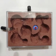 Ready Stock spot Plaster Nest Flat Nest Ant Workshop Bionic Plaster Nest Ecological Ant Nest Test Tu