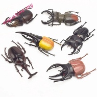 AUGUSTINA Simulation Beetle Science Toy Trick Props Insect Toy Fake Beetle Beetle Figures Joke Toys 