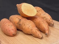 500g UBI KELEDEK Oren | Fresh Orange Sweet Potato