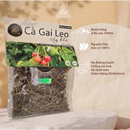 Dried Solanum procumbens herbal tea - Dalat Cordyceps