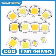 TweetTwitter 1pc cob led light dc led bulb chip on board 10W 20W 30W 50W 70W 100W 2 colors MY
