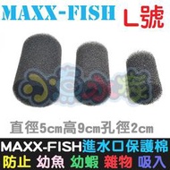 【小魚水族】【MAXXFISH、進水口保護棉套、L號】入水口棉套、保護套、炸彈頭保護套、防止幼魚幼蝦吸入