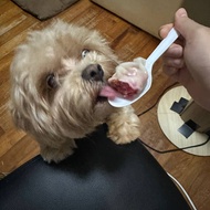 Dog treats / Dog dumplings / Dumplings for dogs / Food for dogs / Dog food / Dog lovers / Pet food