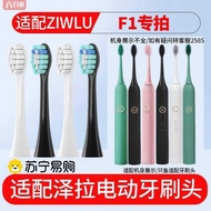 F1/Y1 Universal Soft Bristle Replacement Toothbrush Head F1/Y1 Universal Soft Bristles 2585