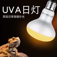 Lampu pemanas UVA untuk reptilia, lampu cahaya siang untuk reptilia, kadal, naga berjanggut, lampu p