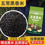 吉品到新米黑米东北黑龙江黑香米黑米粥五谷杂粗粮 1000g