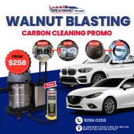 Car Service - Walnut Blasting Carbon Cleaning Service | Car Engine Intake Valve Decarbonization