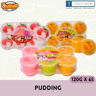 AYOYO Pudding 120g X 6's