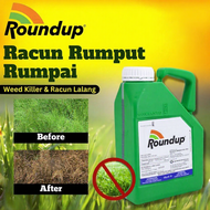 SYK Roundup 4 Liters Glyphosate 41% Racun Rumput Rumpai Racun Lalang Organic For Weed Gardening Herb