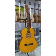 Classic Acoustic Guitar for Beginners