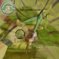 MG - Bonsai clamp, bonsai clamp, imported bonsai cutting