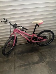 GIANT 公路單車 電動單車 單人 三輪單車 適合任何 成人 家庭 老人 工人姐姐  帶寵物 去街 貓貓狗狗 返工 返學 買餸 接放學 不是 電動滑板車  three wheels single f