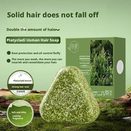 Green Shampoo Soap Oriental Arborvitae Leaf Plant Extracts Cleansing Oil Control Hair R8n5