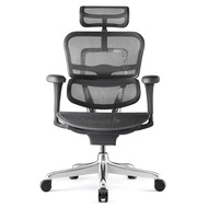 ERGOHUMAN 111 特仕版2.0 3D扶手 T168白色 2023年全新椅款