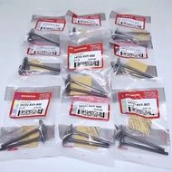 GW- (WHOLESALE: 10 SETS) VALVE SET UMBRELLA VALVE CARBONBEAT VARIO CARBON SCOOPY CARBON BLADE FI KVY