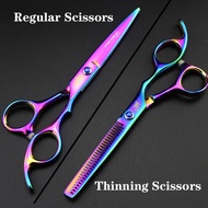 Hair Cutting Scissors Thinning Shears Stainless Steel Pro Salon Barber Shears Hairdressing Kit cutti