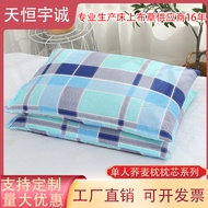 H-66/ Factory Wholesale Single Buckwheat Hull Pillow Inner Adult Home Use Neck Protection Buckwheat Healthy Pillow Four