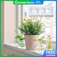 IKEA | Fejka Artificial Plant Yellow Height 24cm