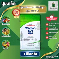 ปุ๋ยเกล็ด 25-5-5 เรือใบไข่มุก 1kg. สูตรเร่งต้นเร่งใบ แตกราก ใบเขียวเข้ม ขยายใบ เร่งการเจริญเติบโตช่ว