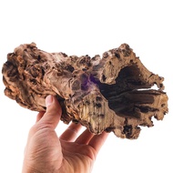 Tangki Ikan Kayu Udang Kayu Akuarium Kayu Batang Pokok Besar Kayu Kayu Apung Landskap Akuarium Semul