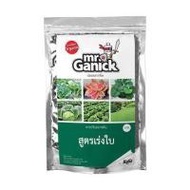 ปุ๋ยอินทรีย์ MR.GANICK สูตรเร่งใบ 1 กก. (1259818)