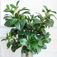 Fake Lemon Leaf Branches - Fake Leaf Branches with 3 branches, super beautiful decor - imported good