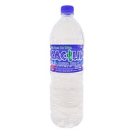 Bottle mineral water clean cactus blue 2Litre