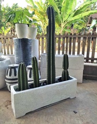 POT BUNGA TANAMAN BESAR JUMBO SEMEN TERASO MINIMALIS TINGGI MODEL PANJANG