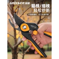 Green Forest Pruning Shears for Cutting Branches, Special Scissors for Fruit Trees and Flowers, Gard