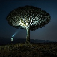 德國Ledlenser HF6R Signature 充電式數位調焦專業頭燈