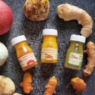 Immunity Shot Turmeric Ginger Curcuma Ginger/ Celery Ginger cold pressed juice 50ml
