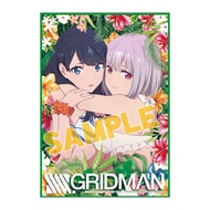 Rikka&Akane Fabric-Gridman[SSSS.GRIDMAN Bonus Special Cloth Poster A4 Size-Swimsuit Ver.]