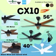 [FREE SHIPPING] Alpha New Model 2024 CX10 5B 56/40 Remote Control 12 Speeds With DC Motor