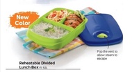 Tupperware Reheatable Divided Lunch Box 1.0L - new color (1)