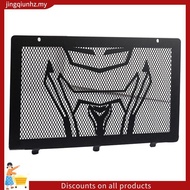 Motorcycle Radiator for 250CLX Motorcycle Accessories