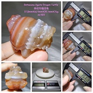 Botswana Agate Dragon Turtle/Striped Agate Dragon Turtle