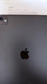 iPad Pro 11吋 M4 Wi-Fi + Cellular 256GB
