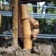 Replika Bambu Pring Pethuk