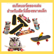 ของเล่นนก สเก็ตบอร์ด ขนาดเล็กจิ๋ว สเก็ตบอร์ดนิ้ว สเก็ตบอร์ด Skateboards Fingerboard